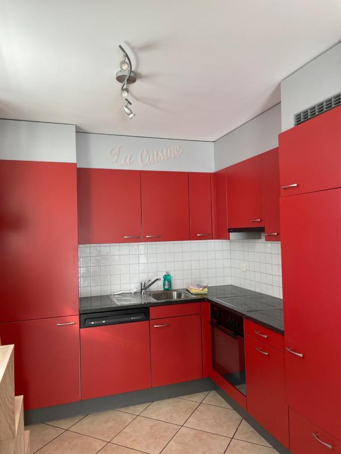 Appartamento 2,5 Con Piscina Nel Cuore Di Locarno 463 エクステリア 写真