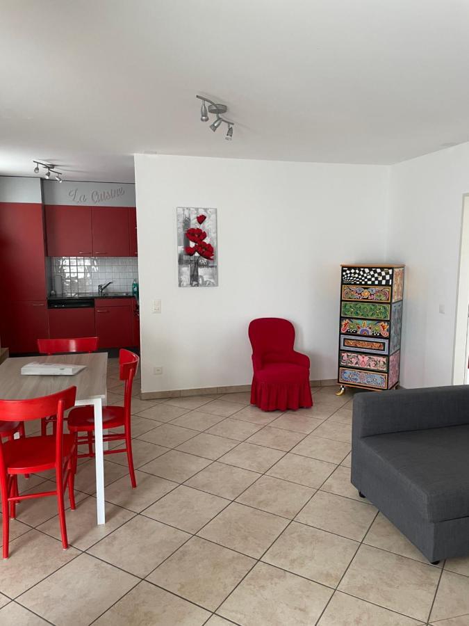 Appartamento 2,5 Con Piscina Nel Cuore Di Locarno 463 エクステリア 写真